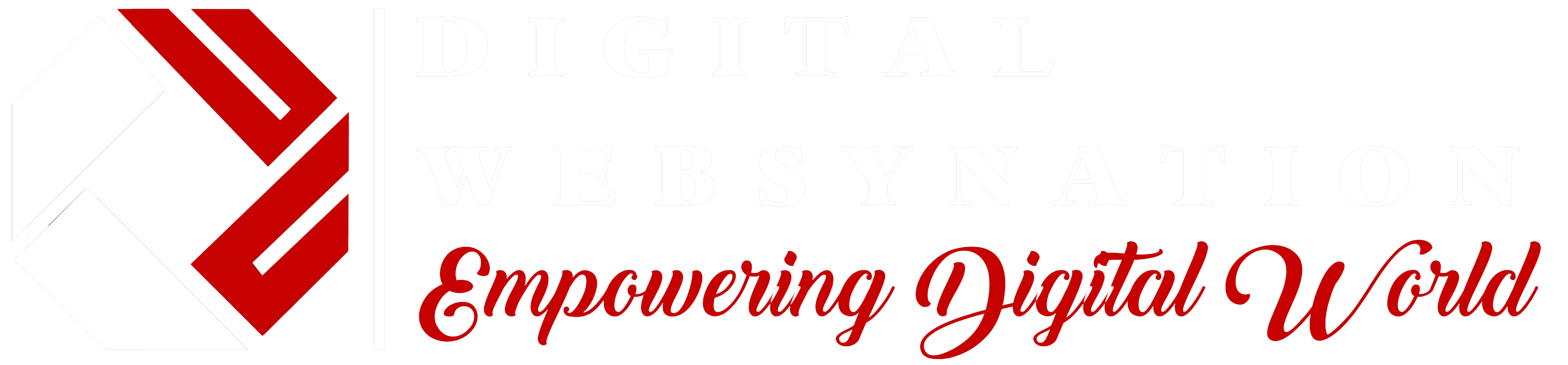 Digital Websynation Logo