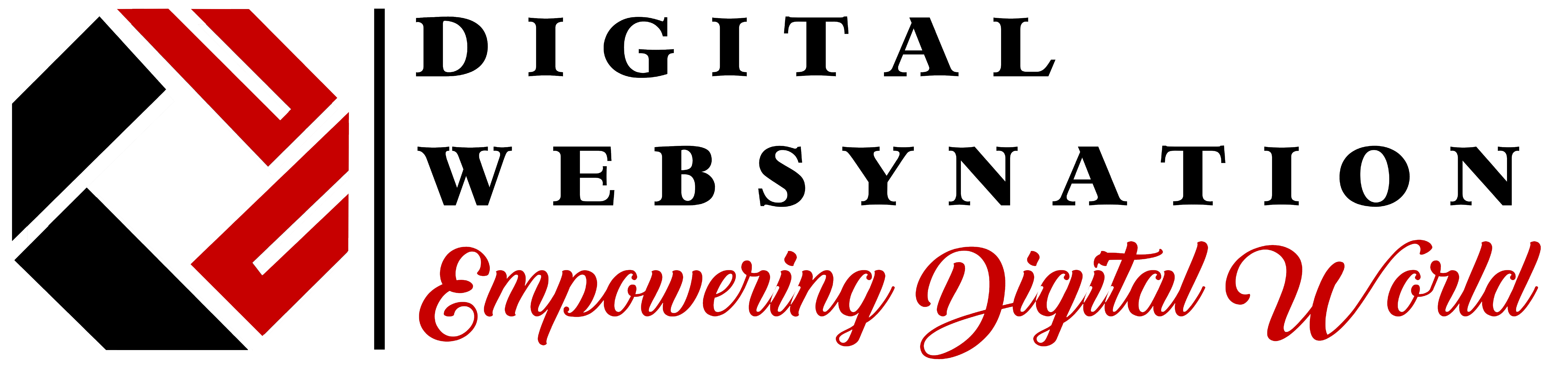 Digital Websynation Logo